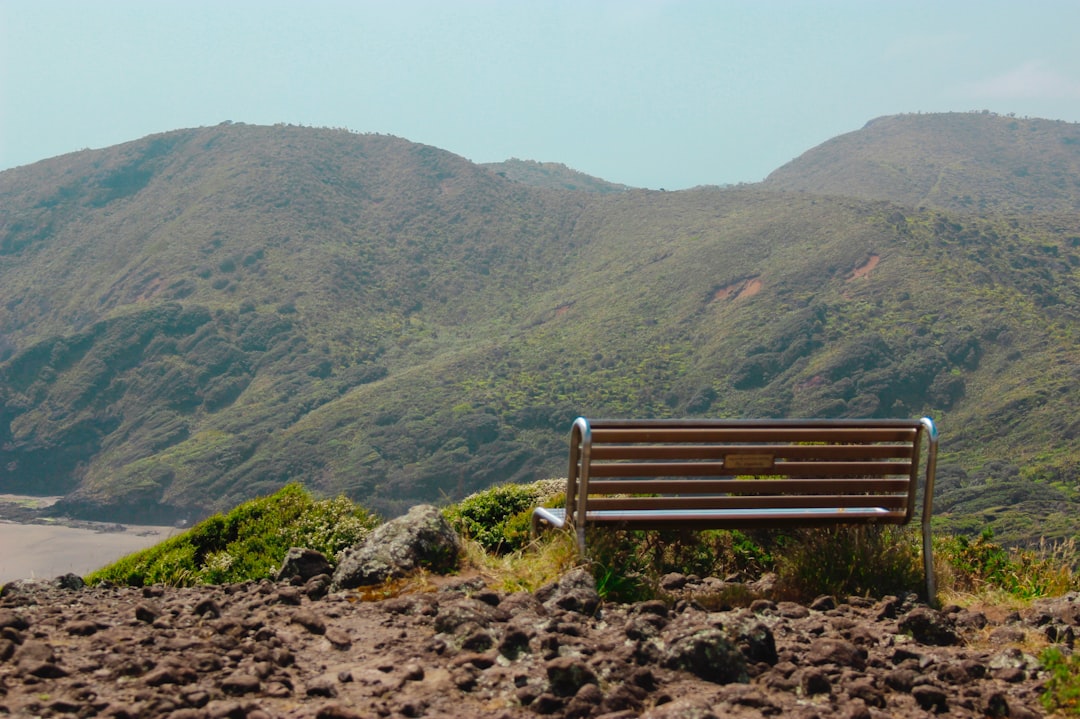 Wooden Seat : Une Expérience Unique en Nouvelle-Zélande - Christchurch | Secret World Trip Planner
