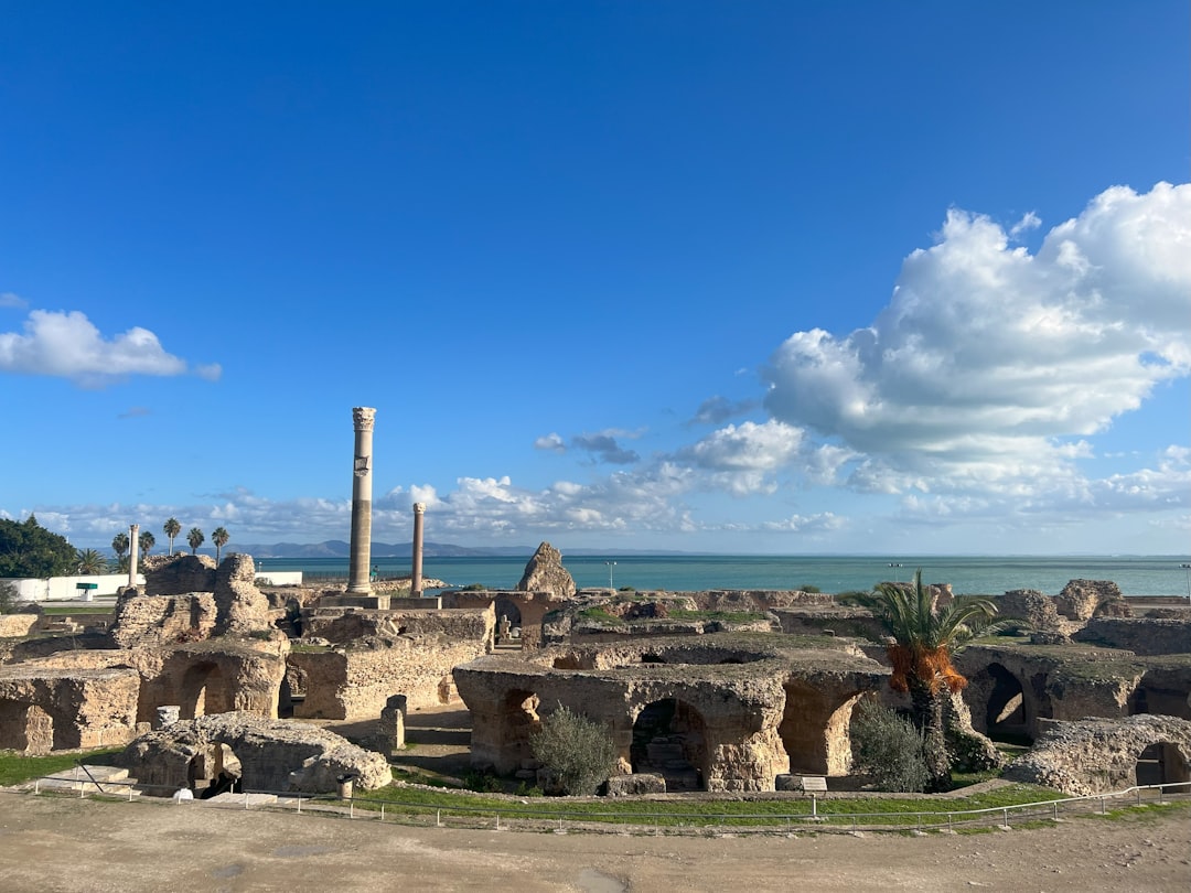 Musée du Bardo : les mosaïques romaines de Tunis - RN 7 | Secret World Trip Planner