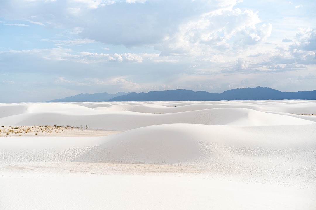Désert Blanc : chemins dans les roches blanches de Farafra - Al Wadi Al Gadid Desert | Secret World Trip Planner