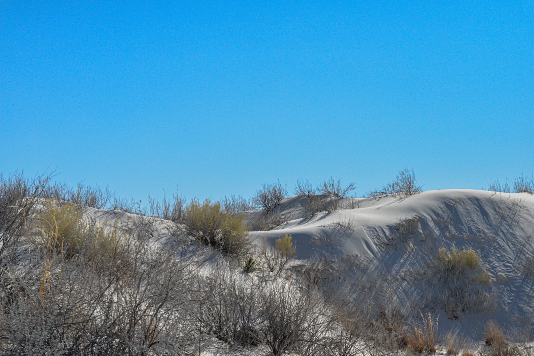 Desierto Blanco: senderos entre rocas blancas en Farafra - Al Wadi Al Gadid Desert | Secret World Trip Planner