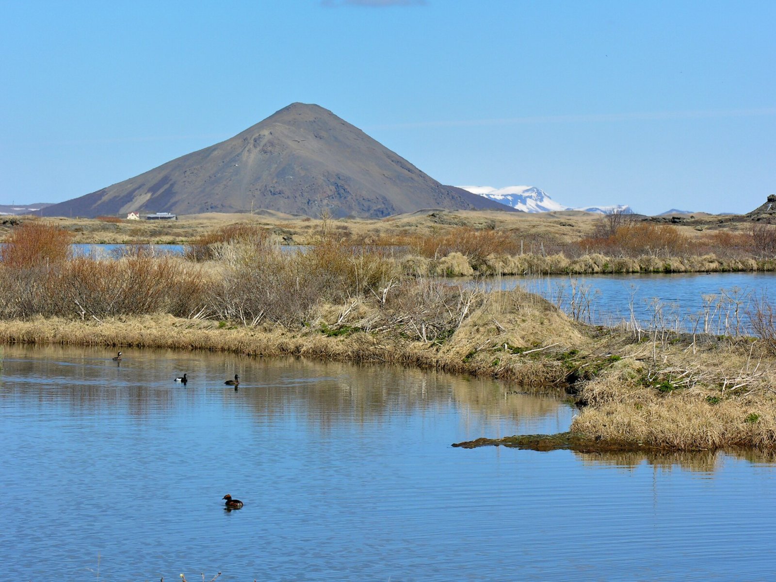 Discover the Charm of Vindbelgjarfjall in Iceland - Skútustaðir | Secret World Trip Planner