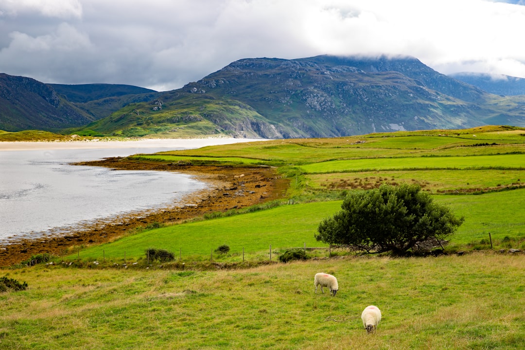 Erkundung von Beenkeragh: Der Berg der Schafe in Irland - Killarney Road | Secret World Trip Planner