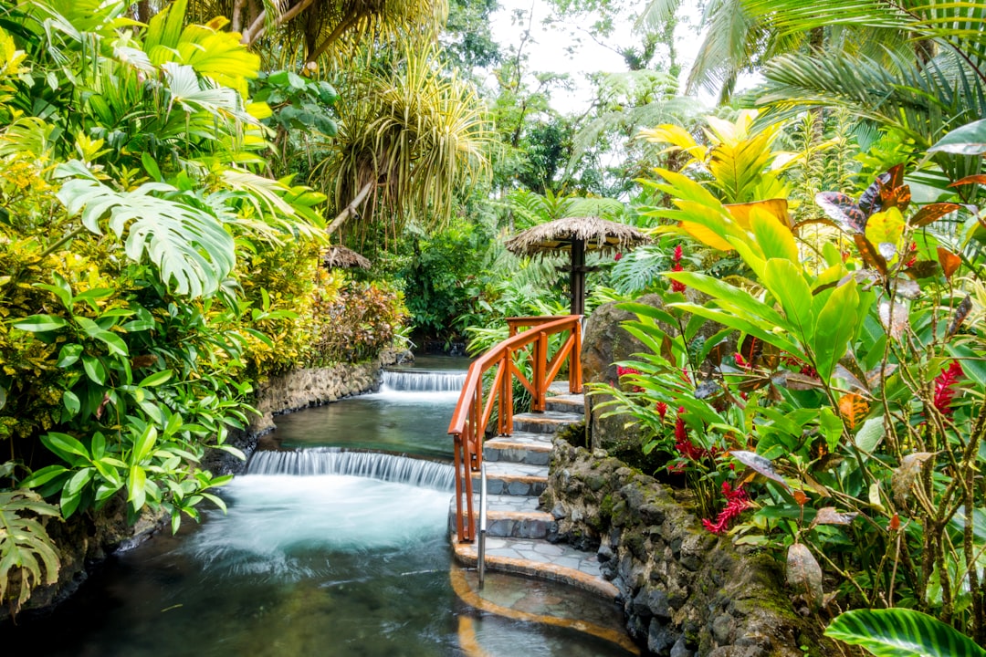Tabacon Hot Springs: terme vulcaniche in Costa Rica - La Fortuna | Secret World Trip Planner