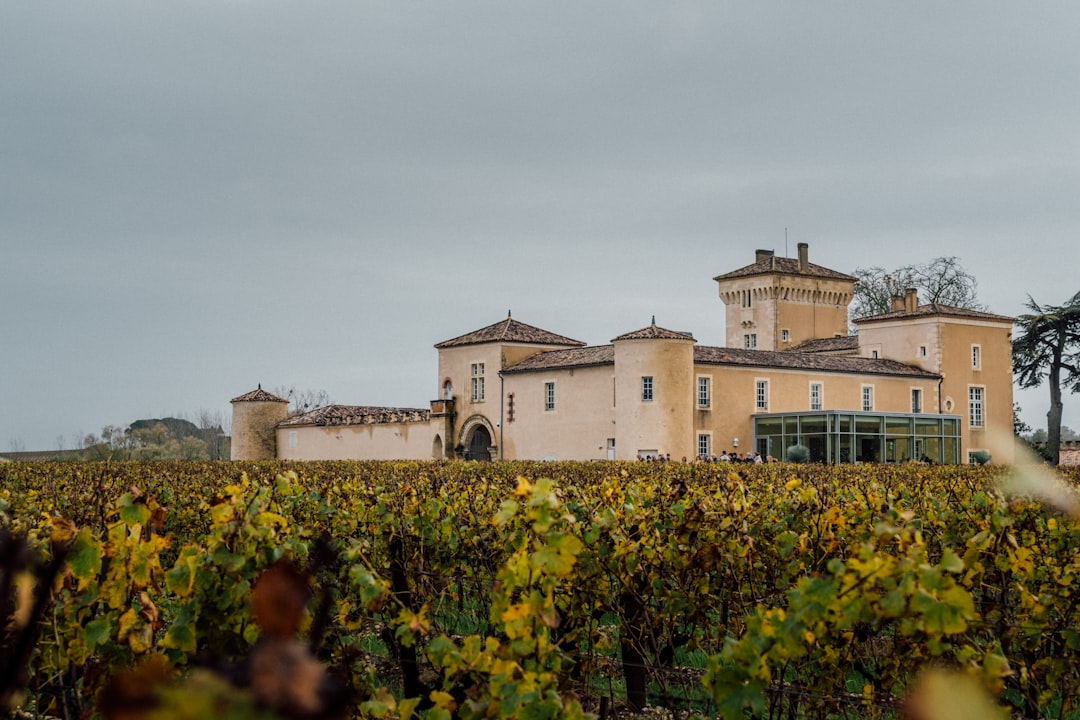 Brotte Wine Museum: Discover Châteauneuf-du-Pape's Terroir - Av. Saint-Pierre de Luxembourg | Secret World Trip Planner