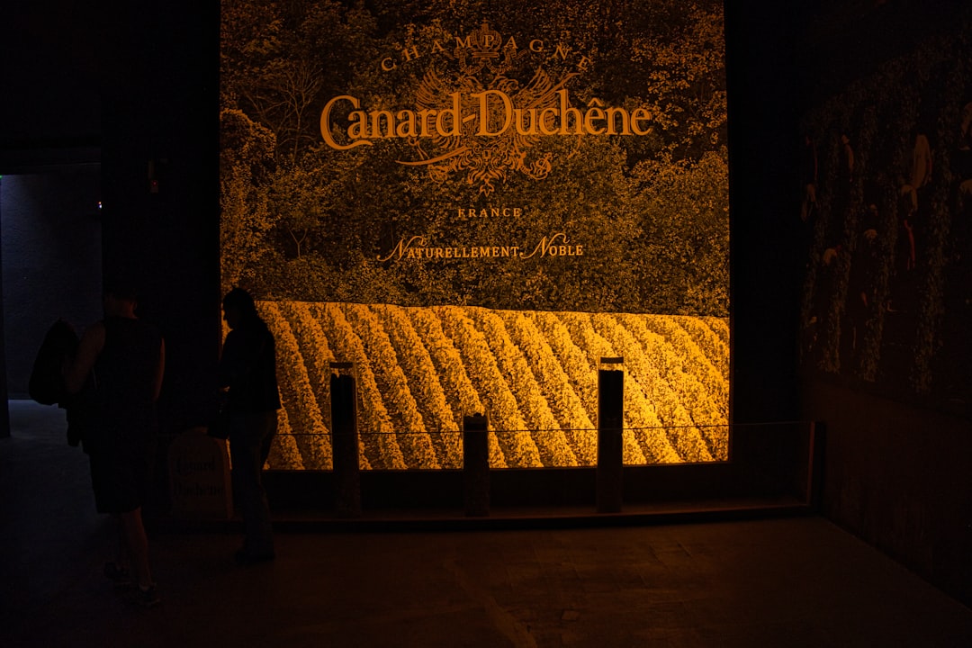 Brotte Wine Museum: Discover Châteauneuf-du-Pape's Terroir - Av. Saint-Pierre de Luxembourg | Secret World Trip Planner