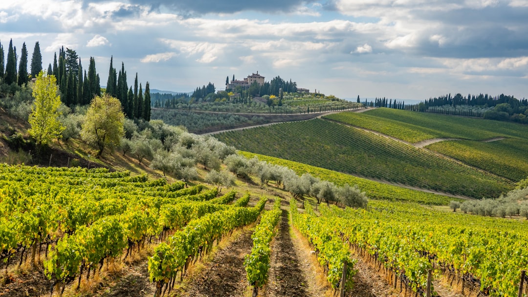 Chianti Classico in Greve: Weine und toskanischer Terroir - 18 | Secret World Trip Planner