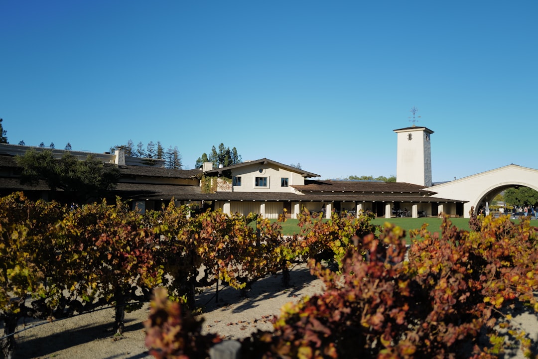 Train de Vin de Napa Valley : paysages et vins en voyage - Napa | Secret World Trip Planner