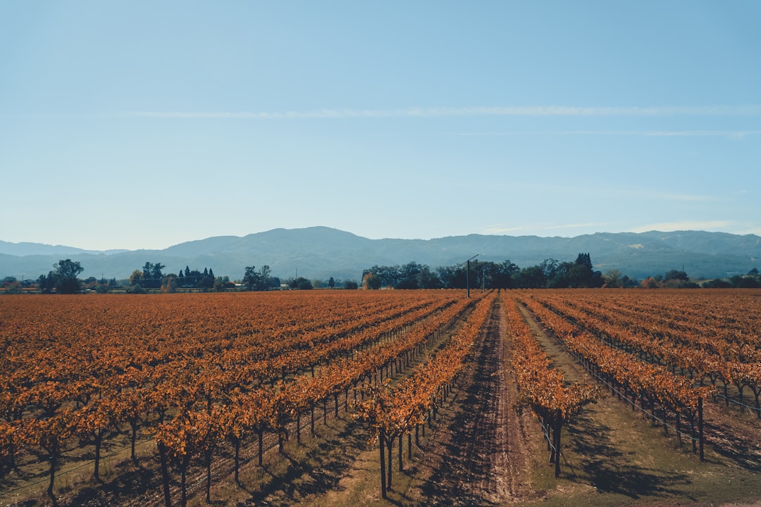 Train de Vin de Napa Valley : paysages et vins en voyage - Napa | Secret World Trip Planner