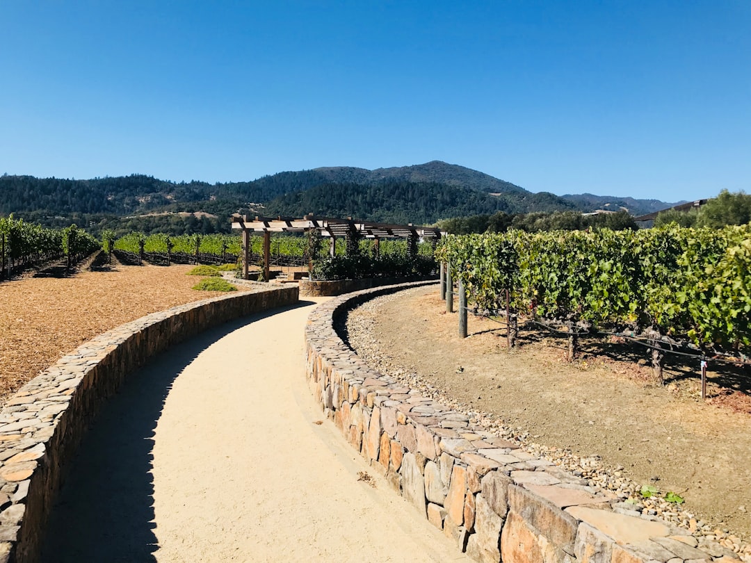 纳帕谷葡萄酒列车：沿途美酒与风景 - Napa | Secret World Trip Planner