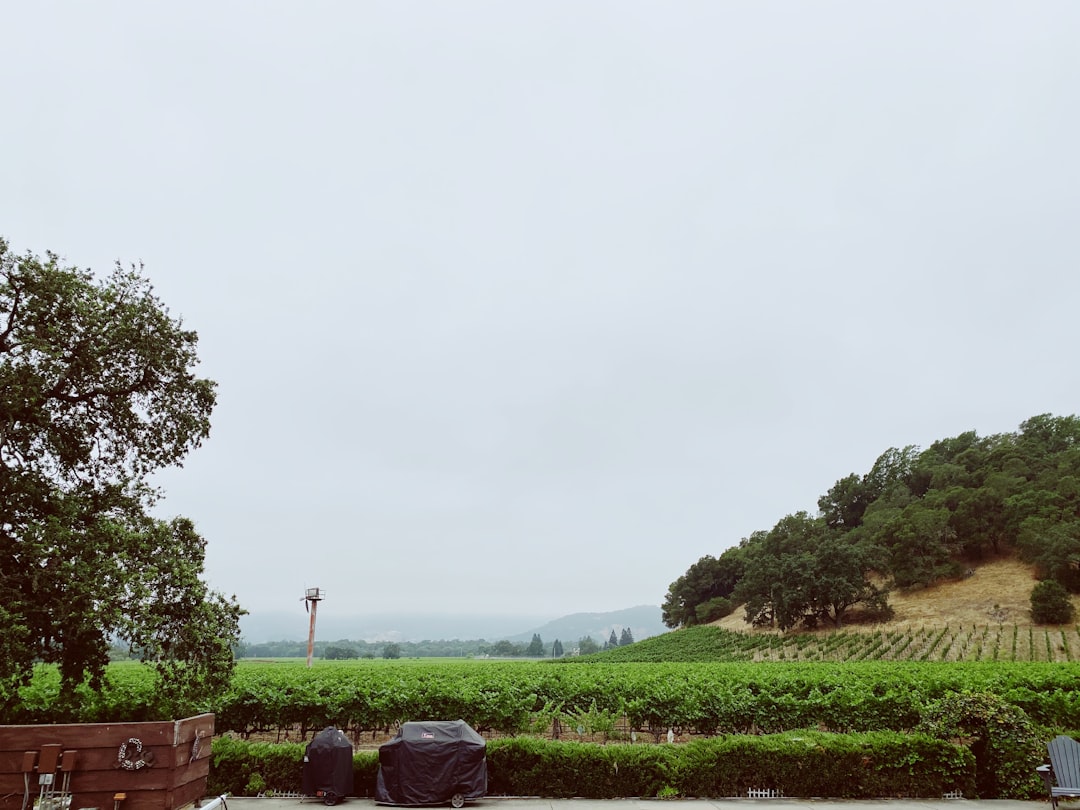 纳帕谷葡萄酒列车：沿途美酒与风景 - Napa | Secret World Trip Planner
