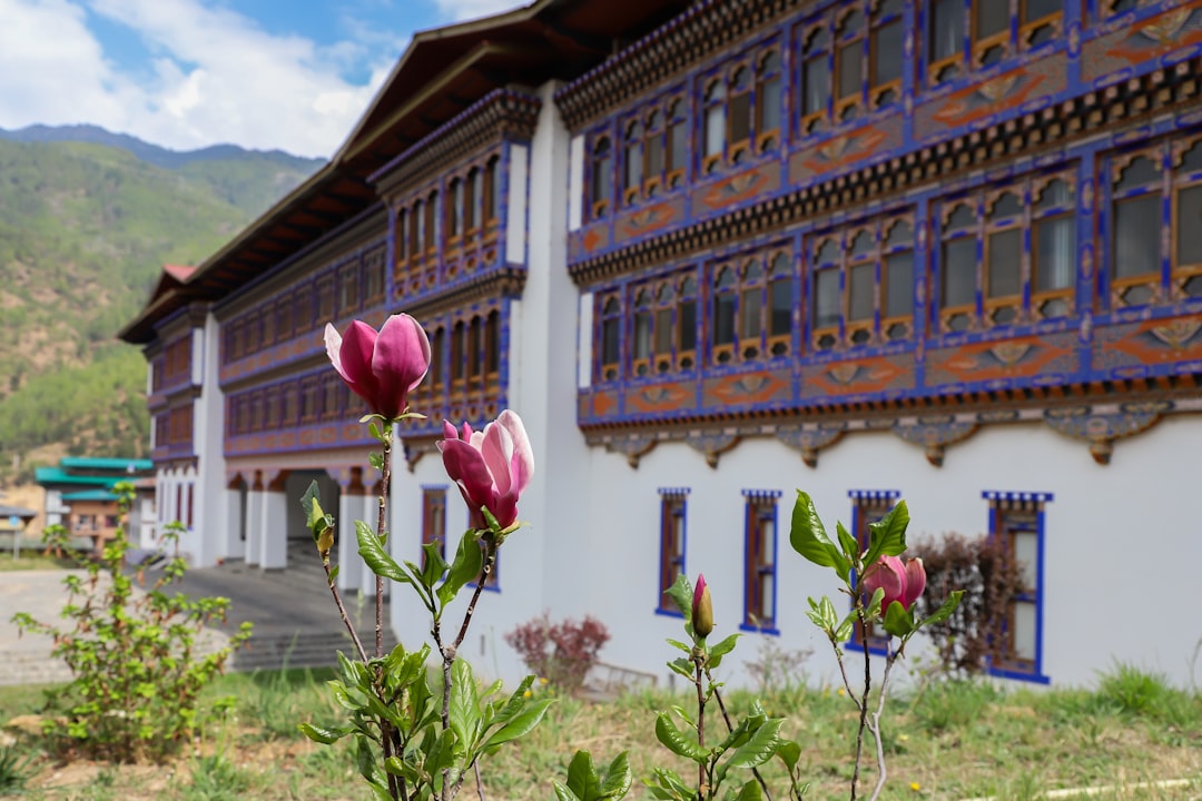 Vini d'alta quota a Shangri-La: tra vigneti e Himalaya - Diqing Tibetan Autonomous Prefecture | Secret World Trip Planner