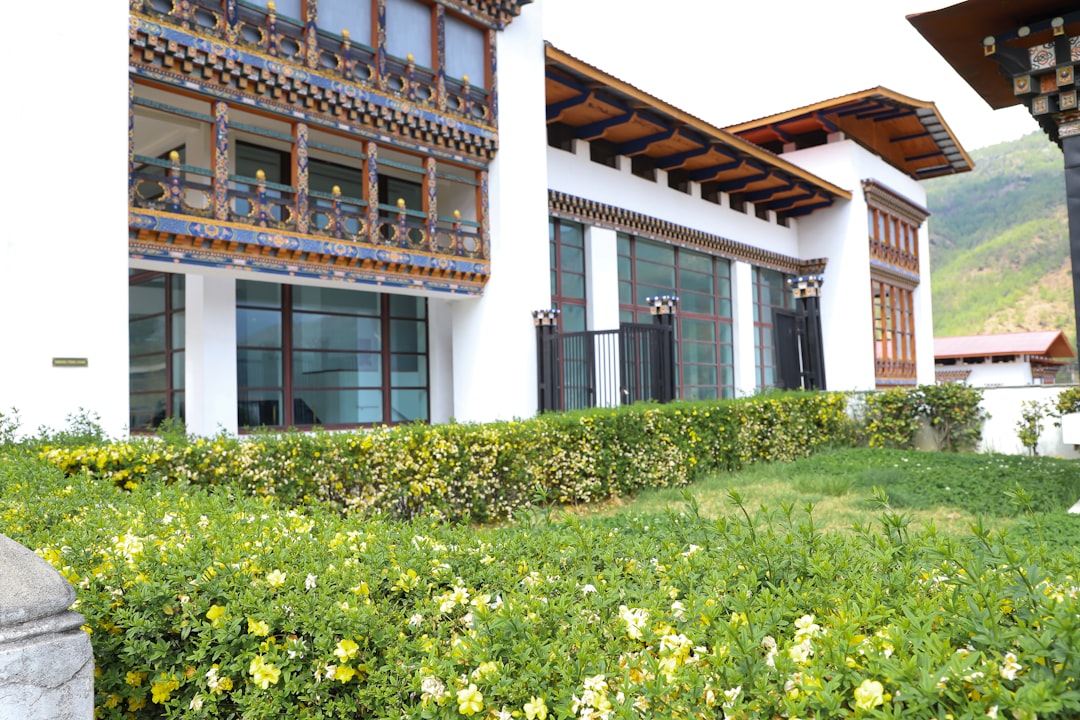 Vinos de alta montaña en Shangri-La: entre viñedos y Himalayas - Diqing Tibetan Autonomous Prefecture | Secret World Trip Planner