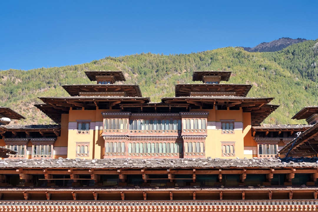 Vinos de alta montaña en Shangri-La: entre viñedos y Himalayas - Diqing Tibetan Autonomous Prefecture | Secret World Trip Planner