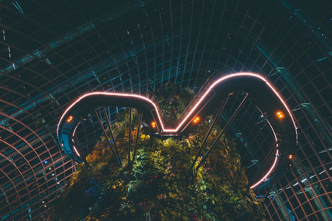 Wolkenwald Singapur: Kunst und Natur in 35 Metern - 18 Marina Gardens Dr | Secret World Trip Planner