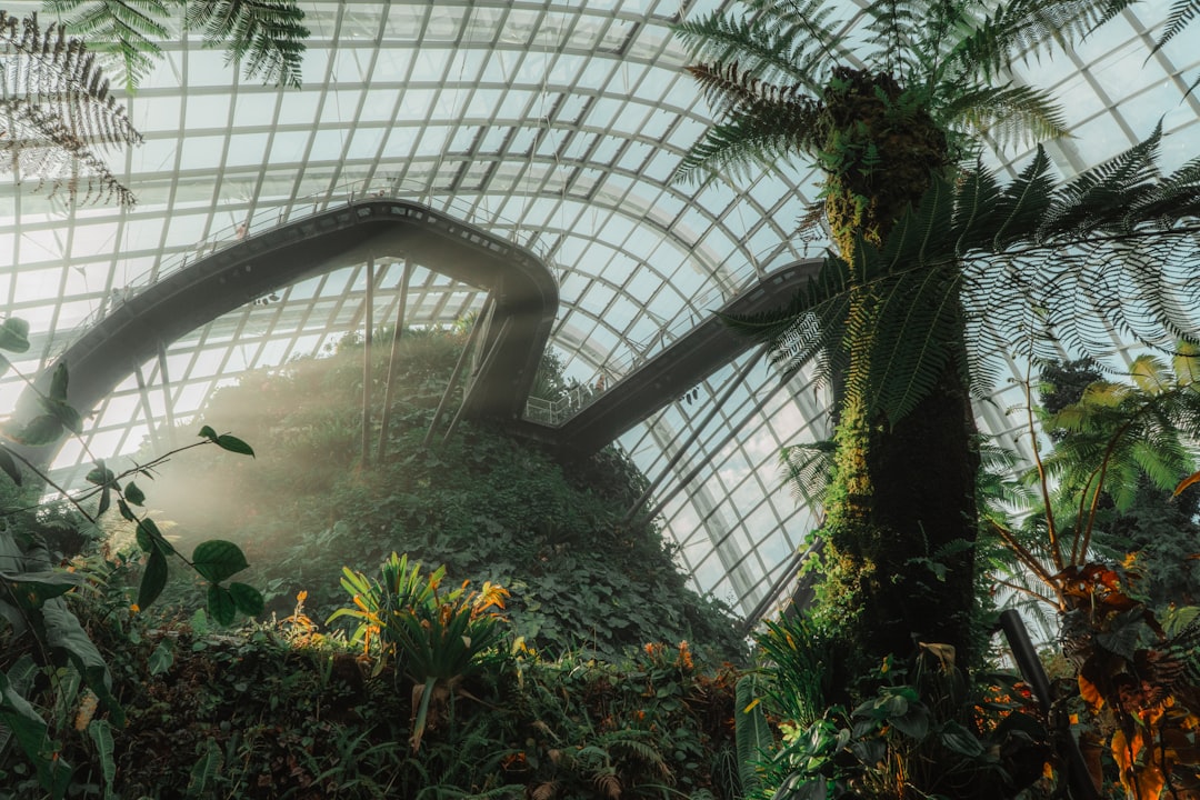 Forêt Nuageuse Singapour : art et nature à 35 mètres - 18 Marina Gardens Dr | Secret World Trip Planner