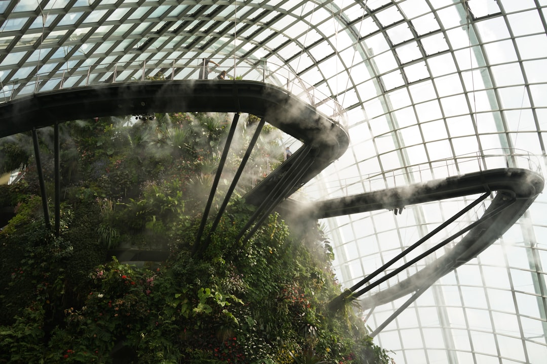 Forêt Nuageuse Singapour : art et nature à 35 mètres - 18 Marina Gardens Dr | Secret World Trip Planner