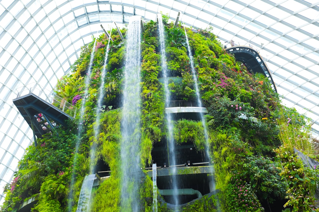 Forêt Nuageuse Singapour : art et nature à 35 mètres - 18 Marina Gardens Dr | Secret World Trip Planner