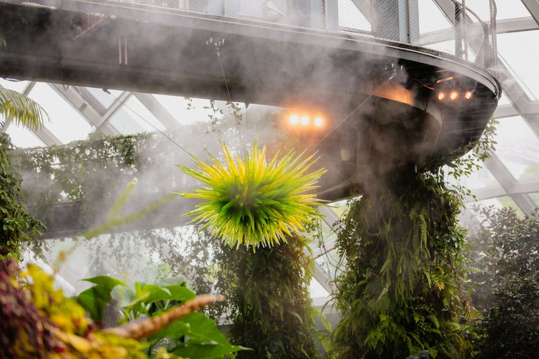 Forêt Nuageuse Singapour : art et nature à 35 mètres - 18 Marina Gardens Dr | Secret World Trip Planner