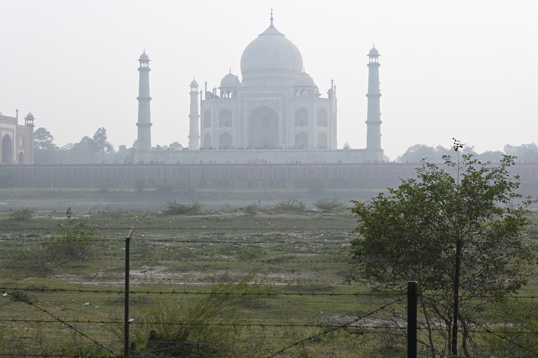 Taj Mahal ao amanhecer: luzes e cores no rio Yamuna - Agra | Secret World Trip Planner