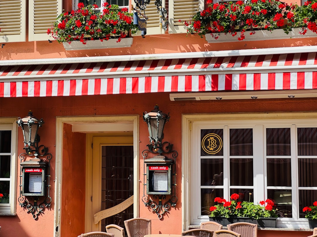 Weinmuseum Mosel in Bernkastel-Kues entdecken - Cusanusstraße 2 | Secret World Trip Planner