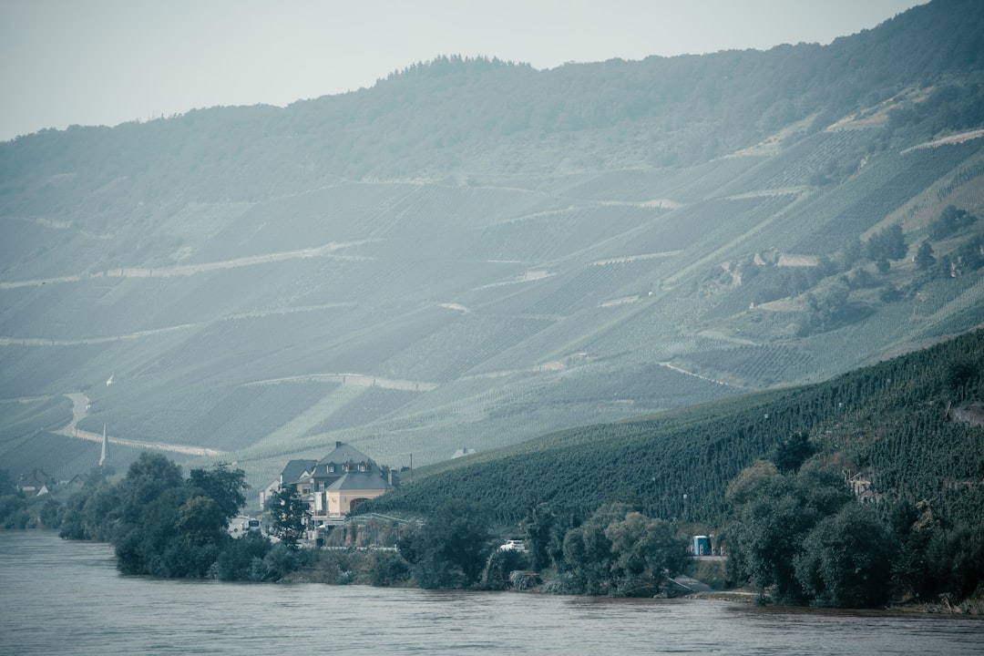 Museu do Vinho da Mosela em Bernkastel-Kues - Cusanusstraße 2 | Secret World Trip Planner