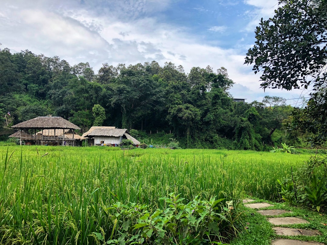 Explorar Phou Khai: Un Paraíso Natural en Tailandia - Chaloem Phra Kiat District | Secret World Trip Planner