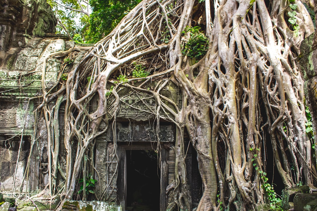 Scopri la Bat Cave in Cambogia: un tesoro naturale da esplorare - Krong Battambang | Secret World Trip Planner