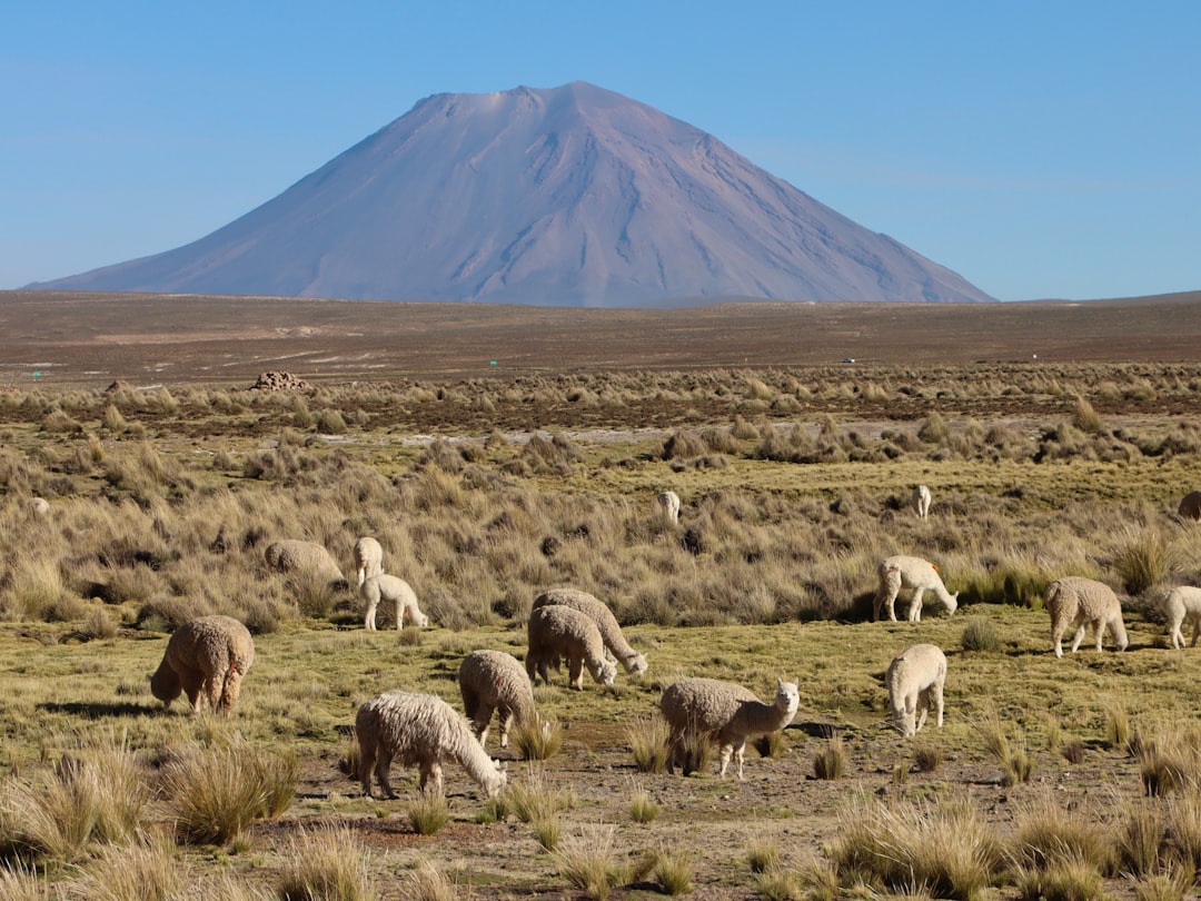 Erkundung von Jatunpauca: Ein Naturparadies in Peru - Tanta | Secret World Trip Planner