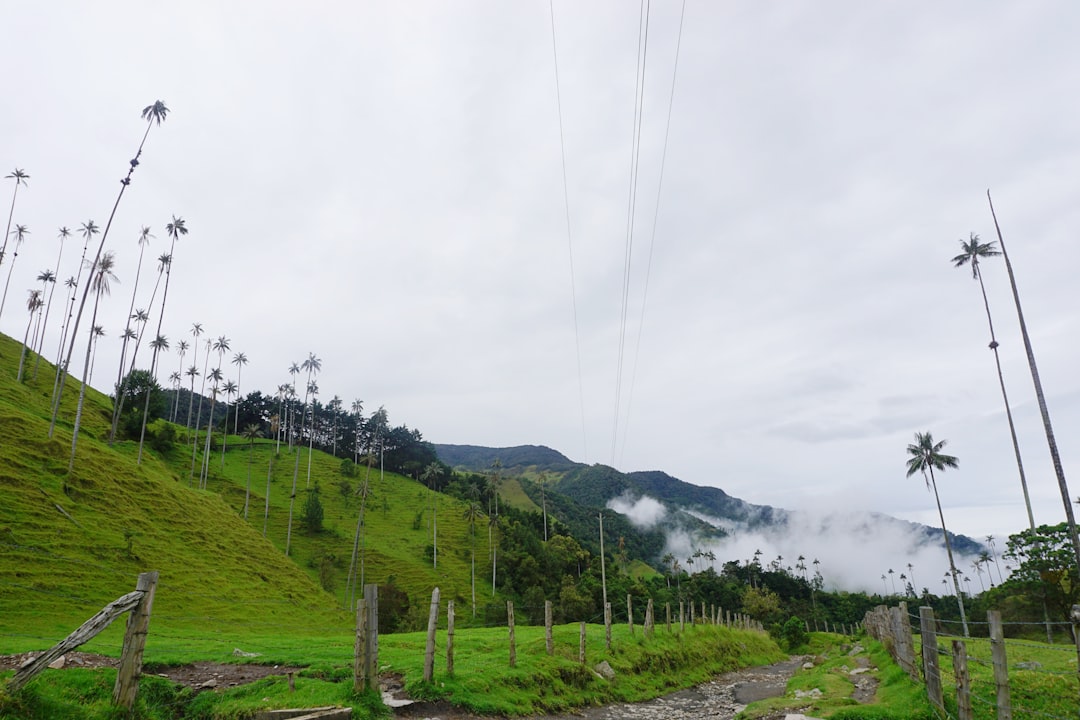 Scopri Alto Miraflores: un angolo di natura in Colombia
