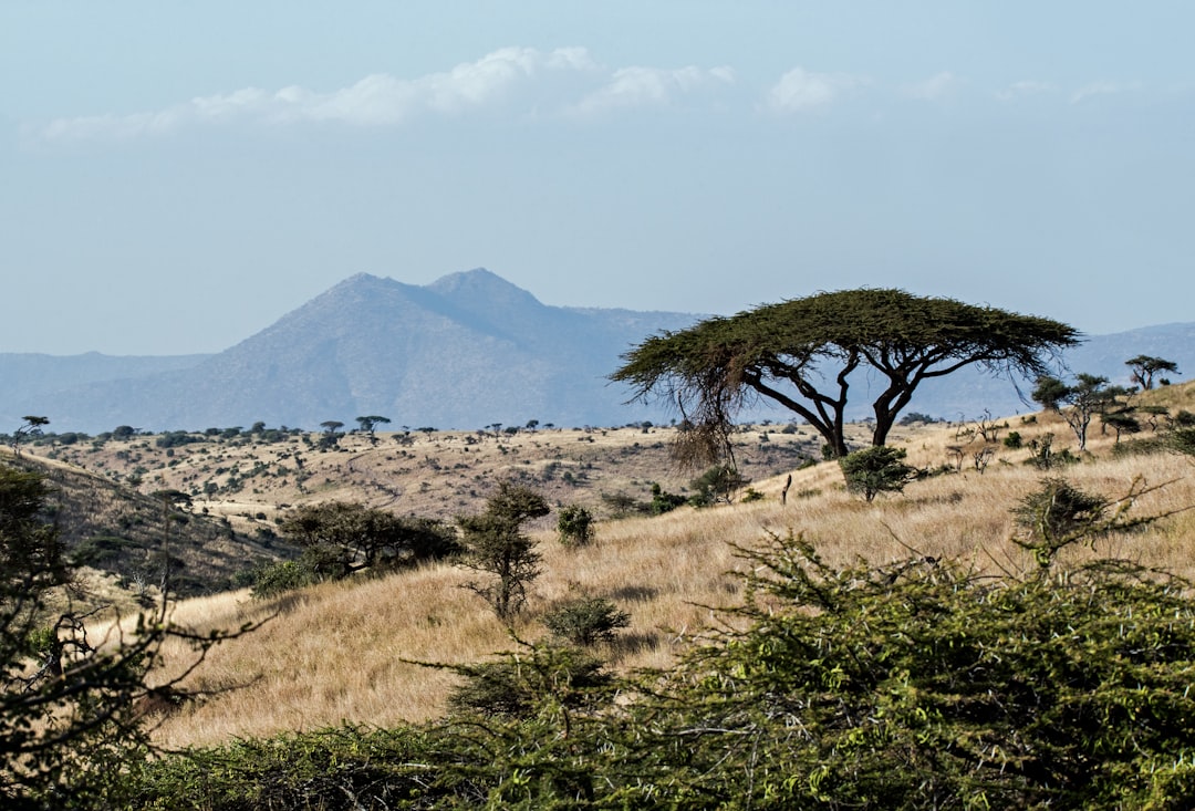 Entdecken Sie die Magie des Mount Kulal in Kenia - Gatab | Secret World Trip Planner