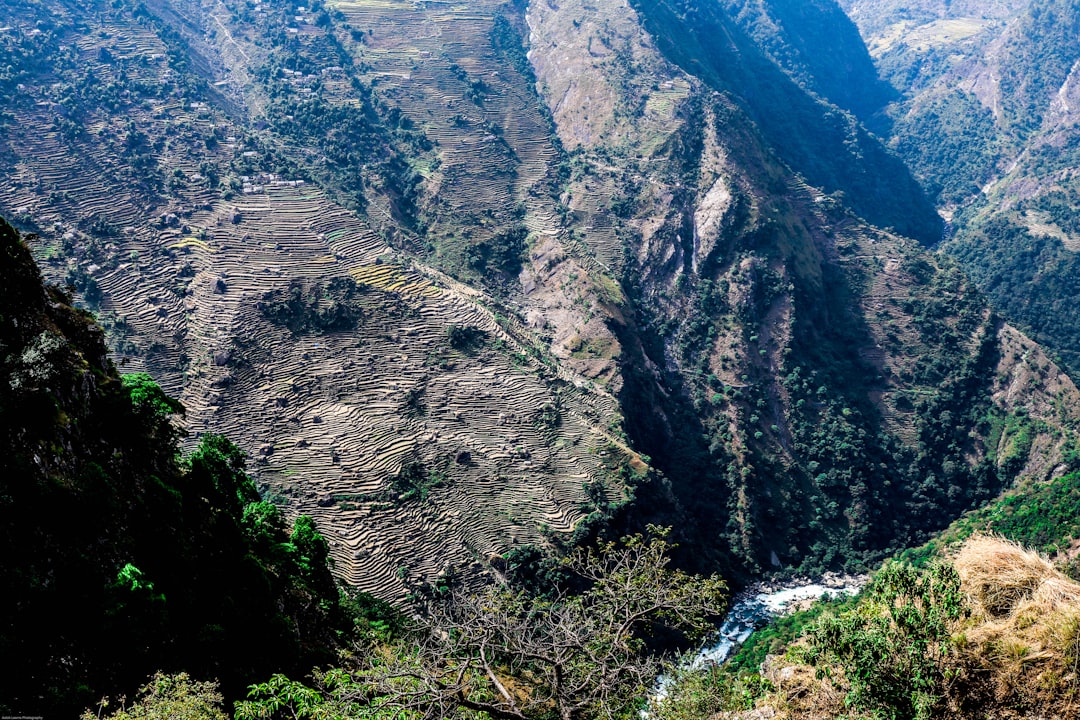 Gara Muleta Terara : Un Paradis Naturel en Éthiopie — 7P4J+H7Q