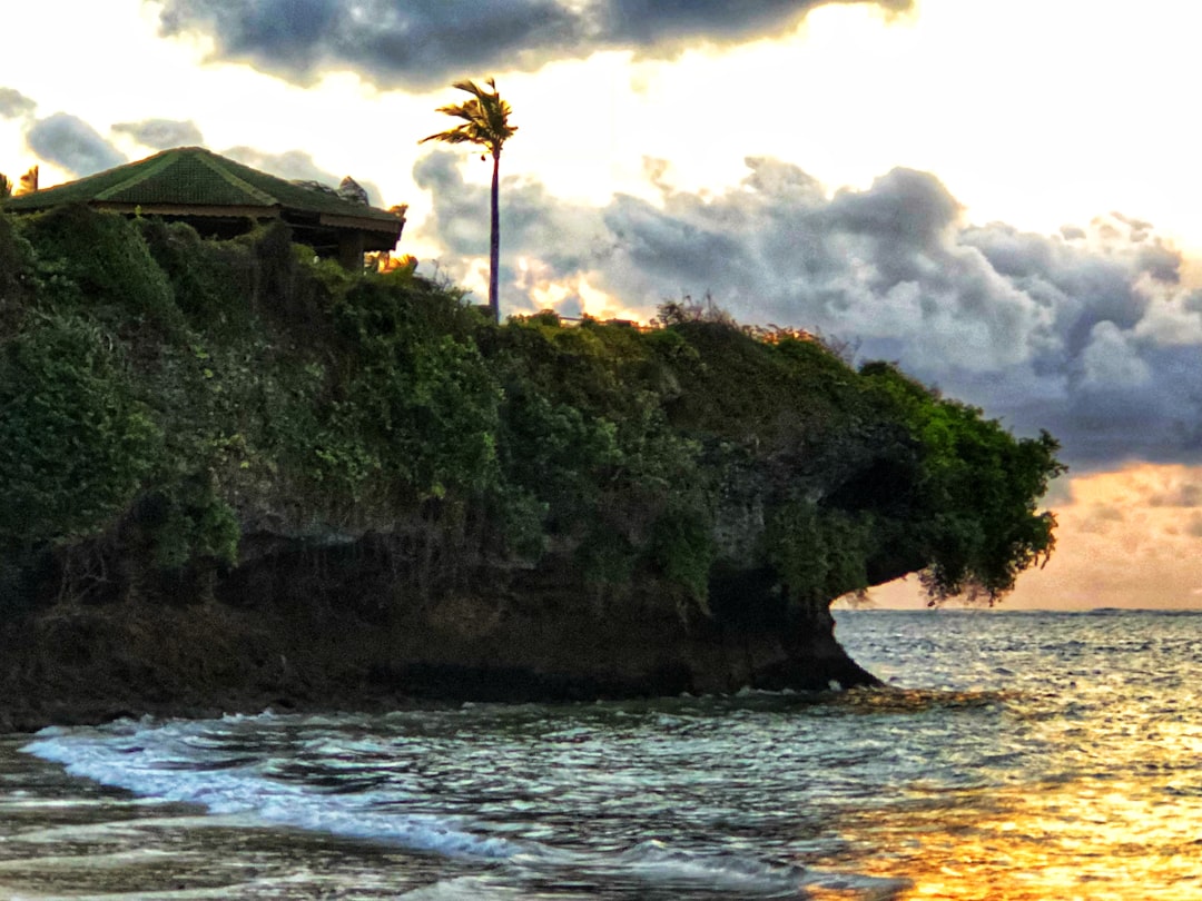 Explora la Batcave: un viaje por la naturaleza de Kenia — Kakamega
