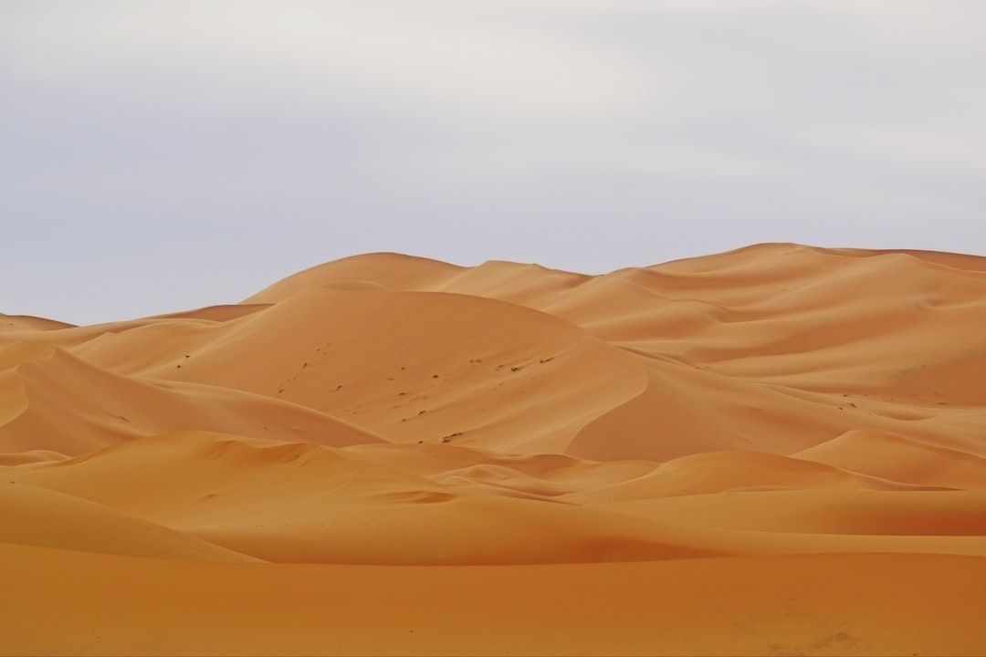 Merzouga et les dunes de l'Erg Chebbi : le vrai Sahara - Merzouga 52202 | Secret World Trip Planner