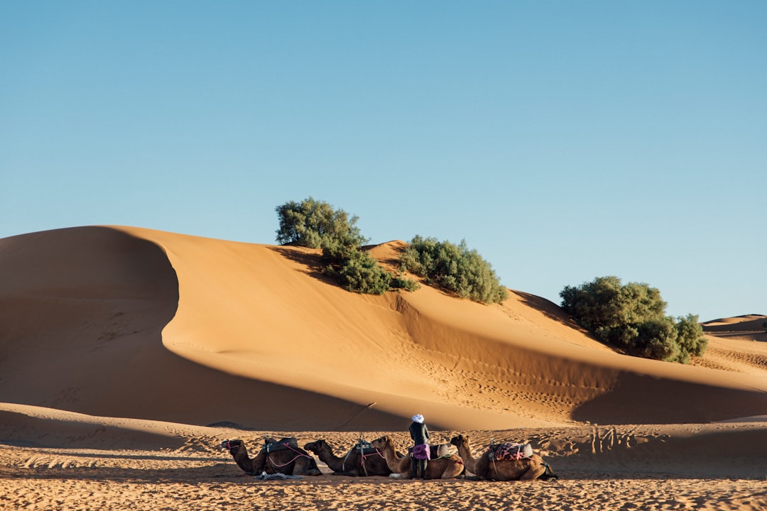 梅尔祖卡与厄尔格·切比沙丘：真实的撒哈拉 - Merzouga 52202 | Secret World Trip Planner