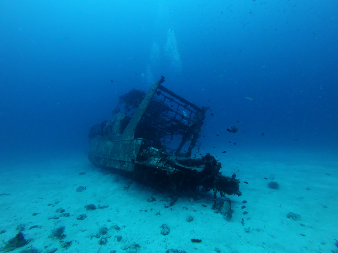 Alla scoperta dei relitti nelle Filippine: Shipwreck - San Luis | Secret World Trip Planner