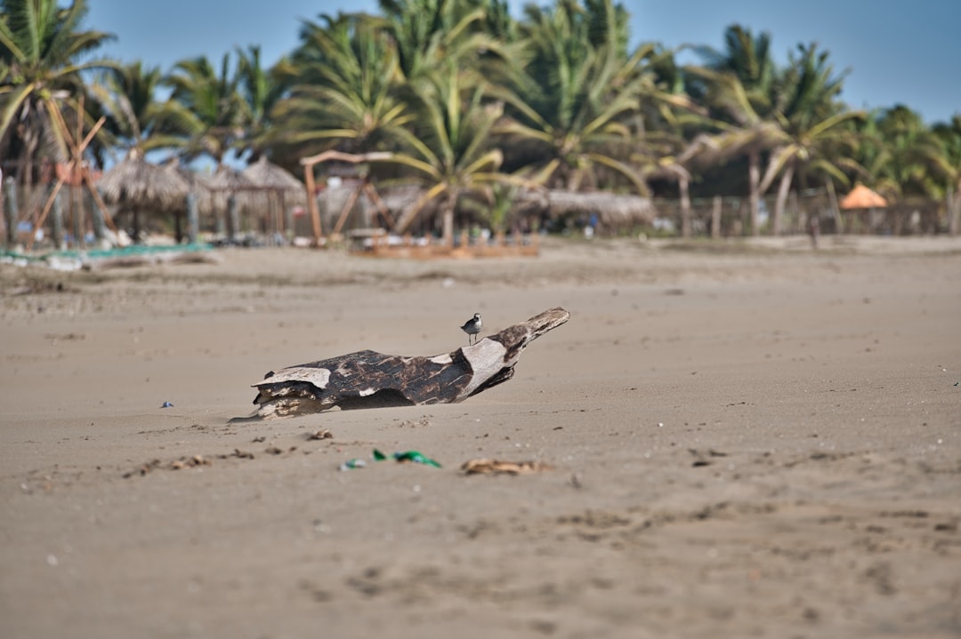 Playa Blanca: la hermosa playa blanca de Barú - Cartagena | Secret World Trip Planner