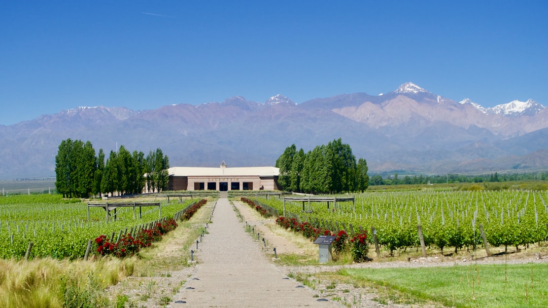 Colares : les vins atlantiques du Portugal - Alameda Cel. Linhares de Lima 32 | Secret World Trip Planner