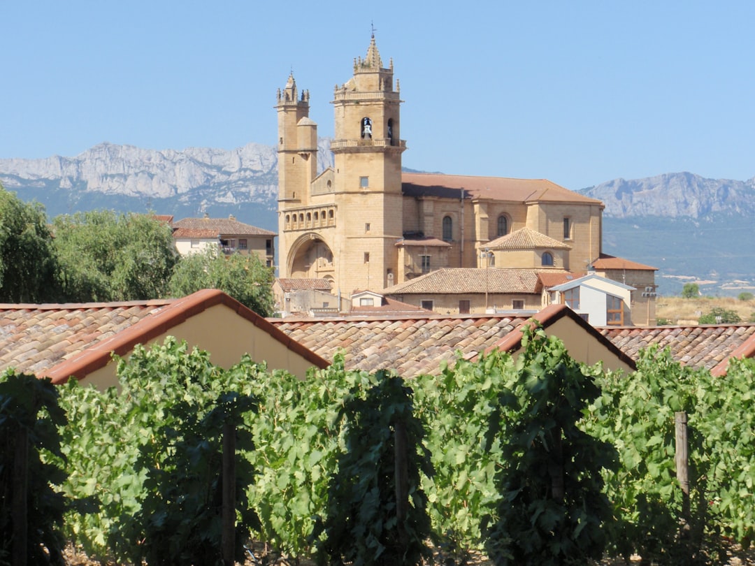 Colares : les vins atlantiques du Portugal - Alameda Cel. Linhares de Lima 32 | Secret World Trip Planner