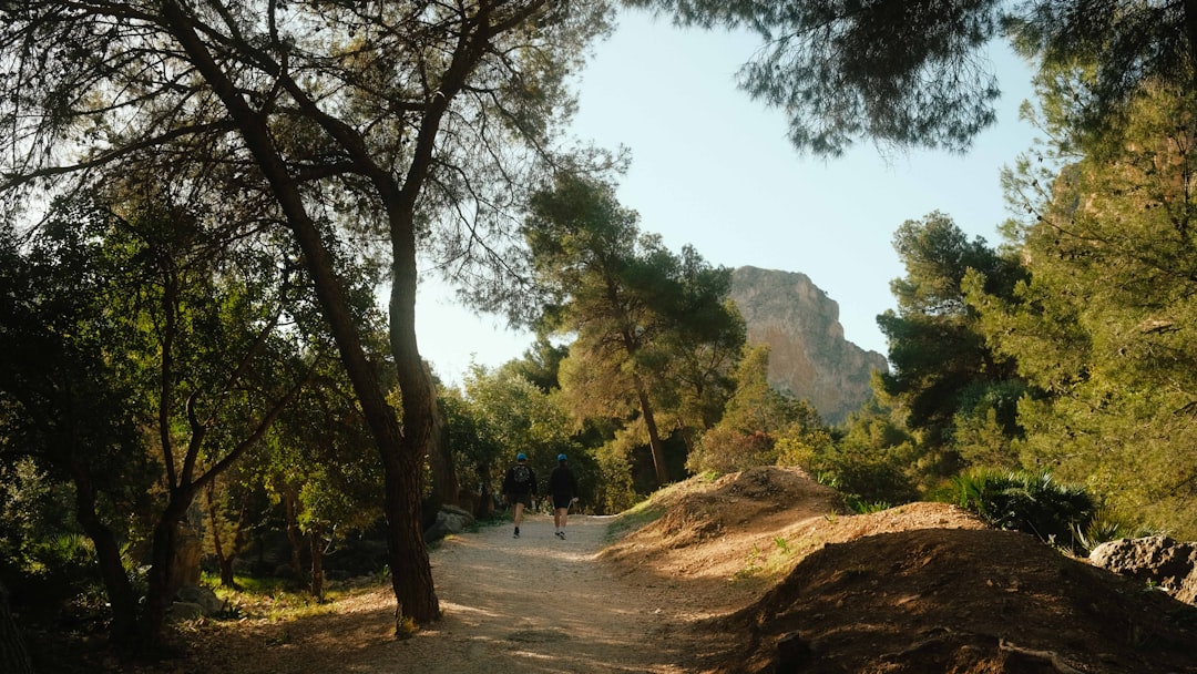 Caminito del Rey : le sentier des gorges d'El Chorro - 29550 Ardales | Secret World Trip Planner