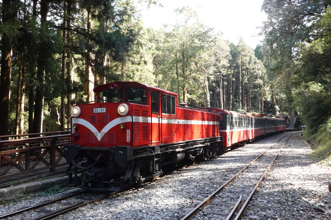 Alishan: amanecer entre nubes y cipreses milenarios - Alishan Township | Secret World Trip Planner