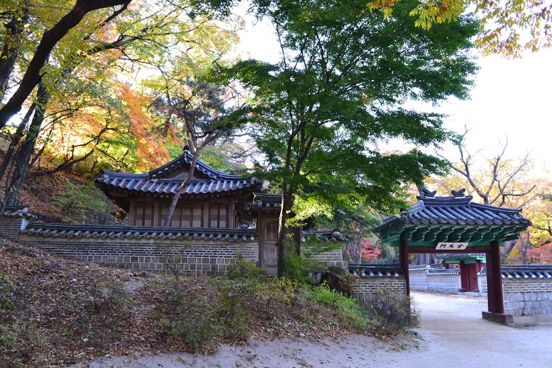 Changdeokgung: Der geheime Palast von Seoul - Jongno District | Secret World Trip Planner