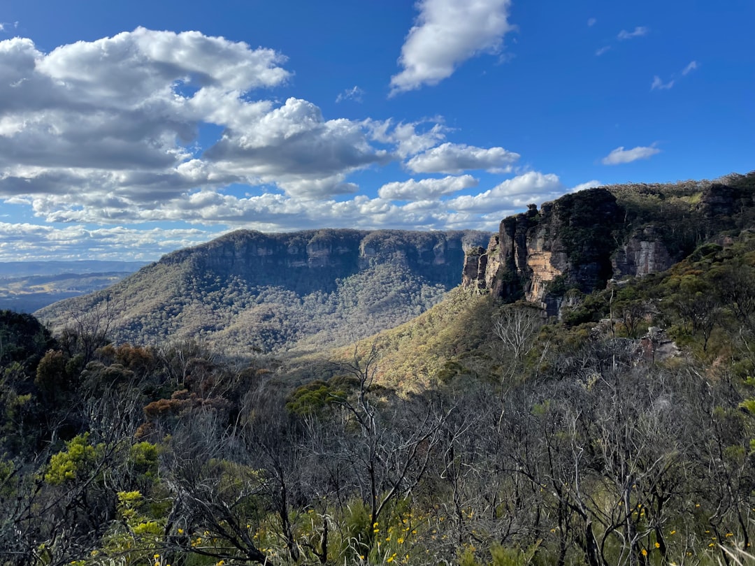 Blue Mountains: Wild Nature of Eucalyptus and Sandstone - Nuovo Galles del Sud | Secret World Trip Planner