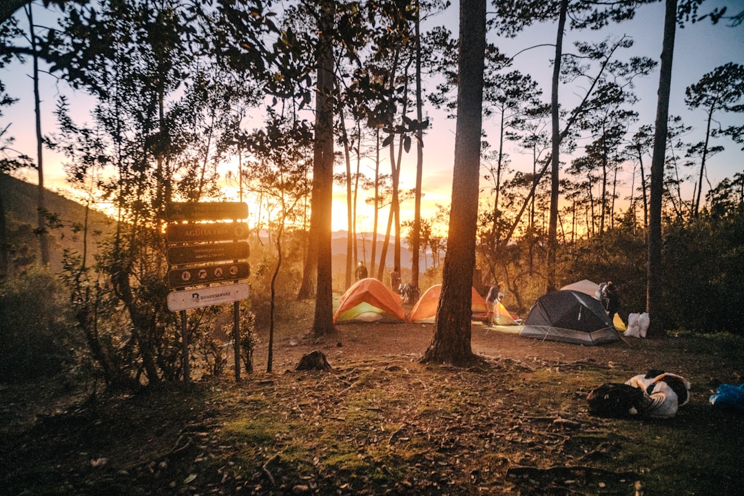 Pico Duarte: trekking sul tetto dei Caraibi - Pico Duarte | Secret World Trip Planner