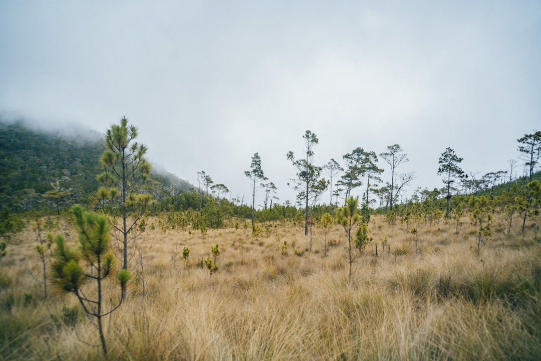 Pico Duarte : randonnée au sommet des Caraïbes - Pico Duarte | Secret World Trip Planner