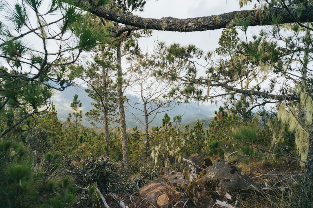 Pico Duarte: trekking en el techo del Caribe - Pico Duarte | Secret World Trip Planner