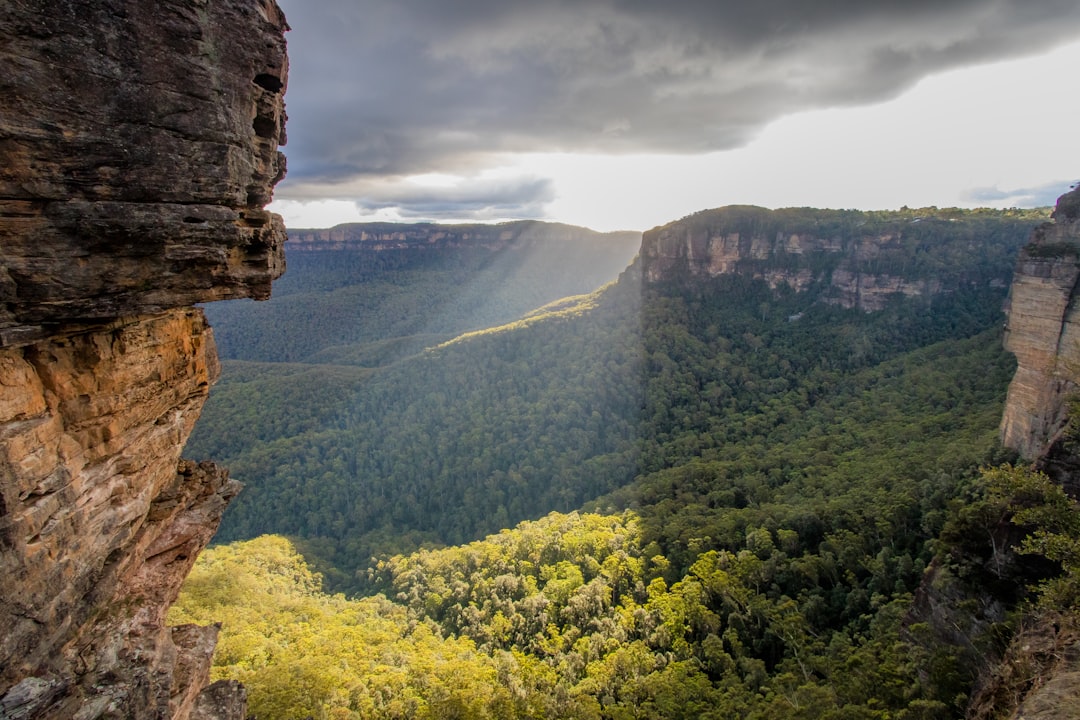 Blue Mountains Giamaica: trekking tra foreste e caffè - Blue Mountains | Secret World Trip Planner