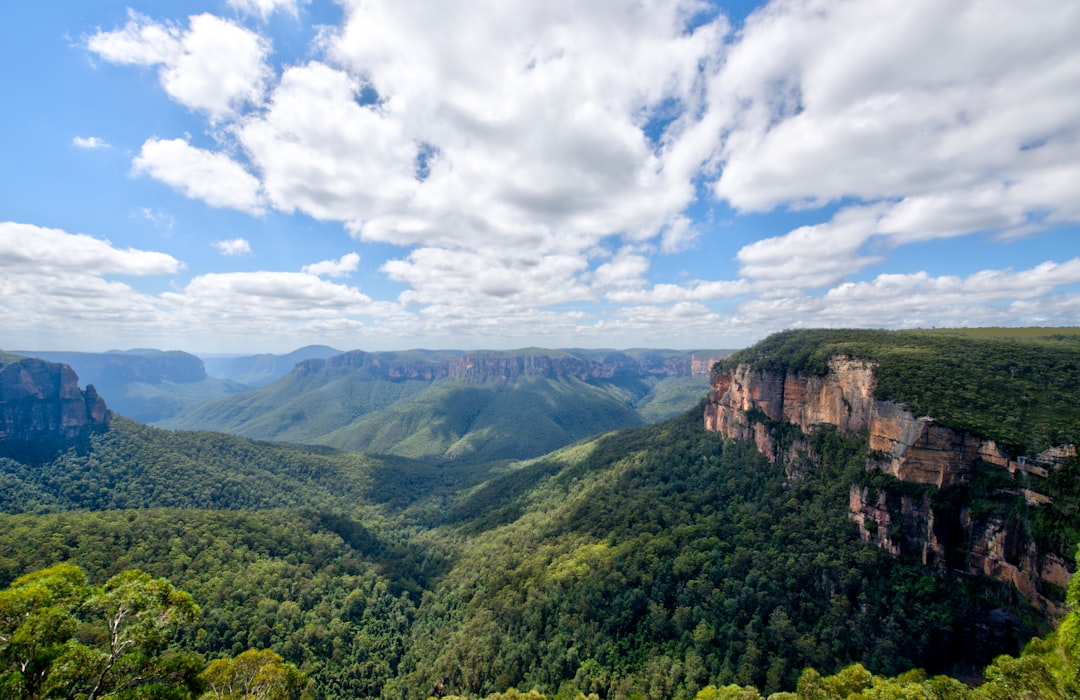 Blue Mountains Giamaica: trekking tra foreste e caffè - Blue Mountains | Secret World Trip Planner