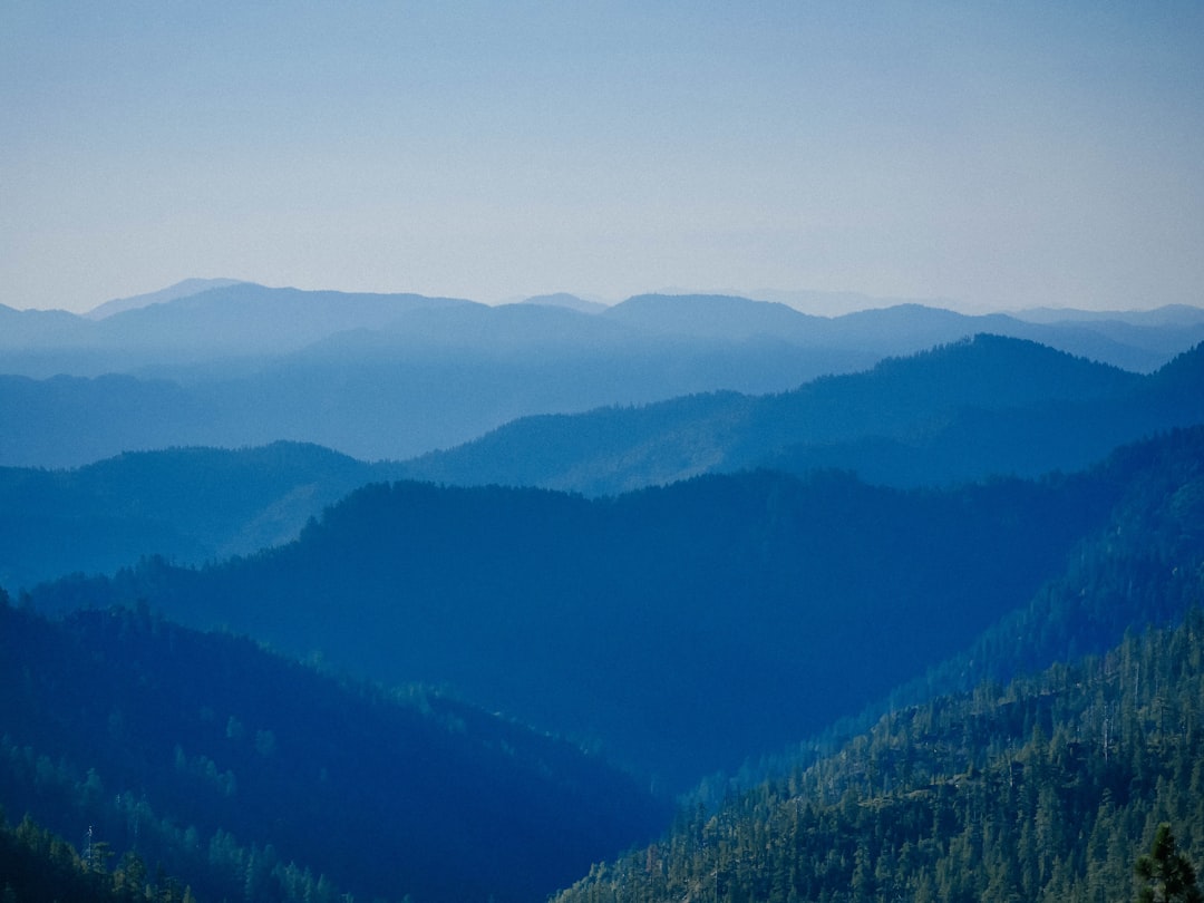 Montañas Azules Jamaica: senderismo entre bosques y café - Blue Mountains | Secret World Trip Planner