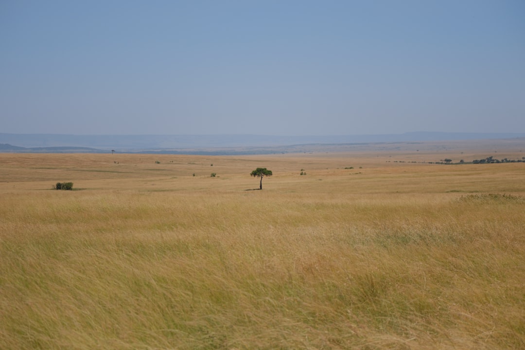 Masai Mara: Große Katzen und kenianische Savanne - Narok | Secret World Trip Planner