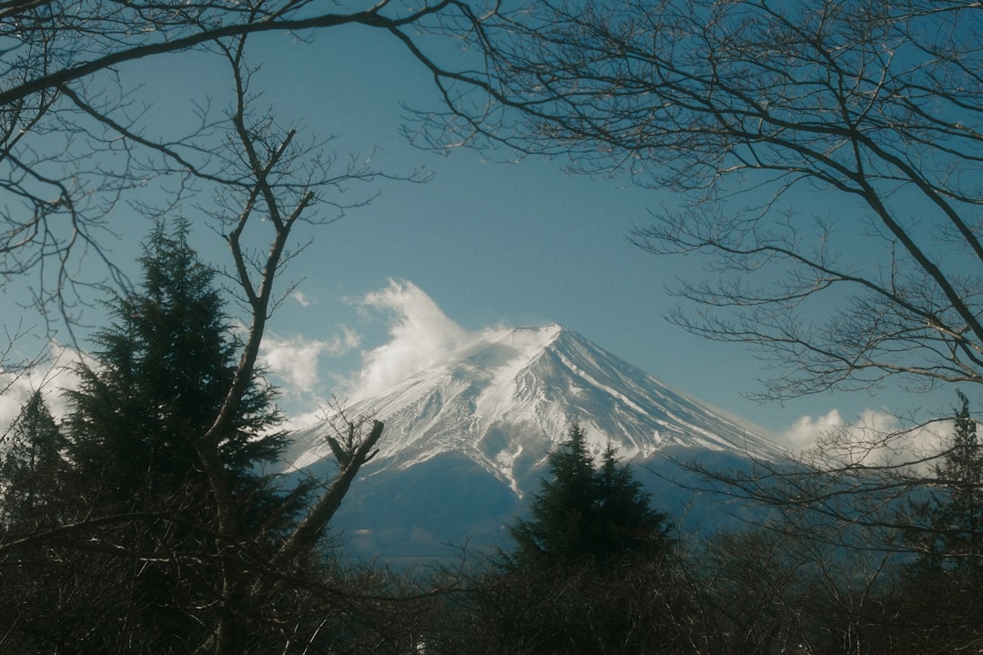 Pagoda Chureito: la arquitectura que enmarca el Fuji - Fujiyoshida | Secret World Trip Planner